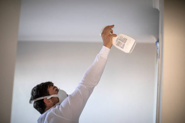 Best Office Mold Removal Services  in West Hamburg, PA